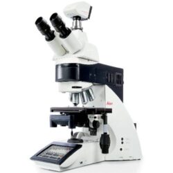 Upright Microscope