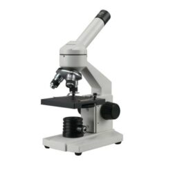 Compound Microscope