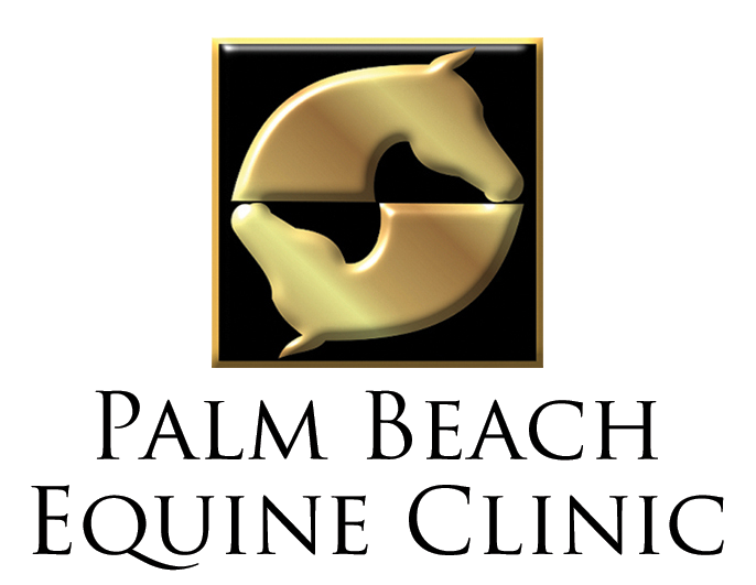 Palm Beach Equine Clinic